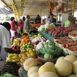 Save Money And Still Eat Organic
