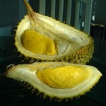 Durian – The King of Fruit