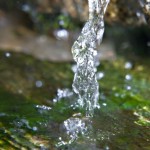 Become a Healthier You Series: Cleansing your Body