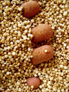 Hand in Quinoa