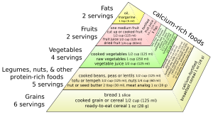 vegan food pyramid adapted from recommendation...