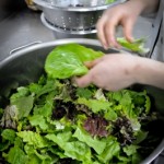 Eat your greens!