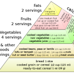 4 Easy Steps to Switching to a Vegan Diet