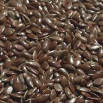 What is a Fat-Free Vegan?