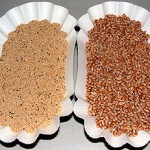 A Fun Way to Use the Ancient Grain, Amaranth