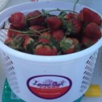 Support Your Local Farmers