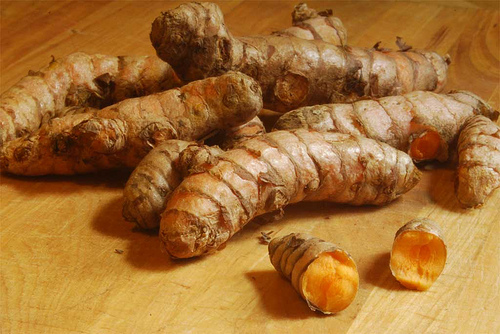 fresh turmeric root