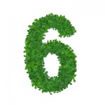 6 Essential Steps to Make a Healthy Lifestyle Change