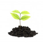 11 Quotes To Help You With New Beginnings