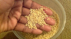 Millet in my hand