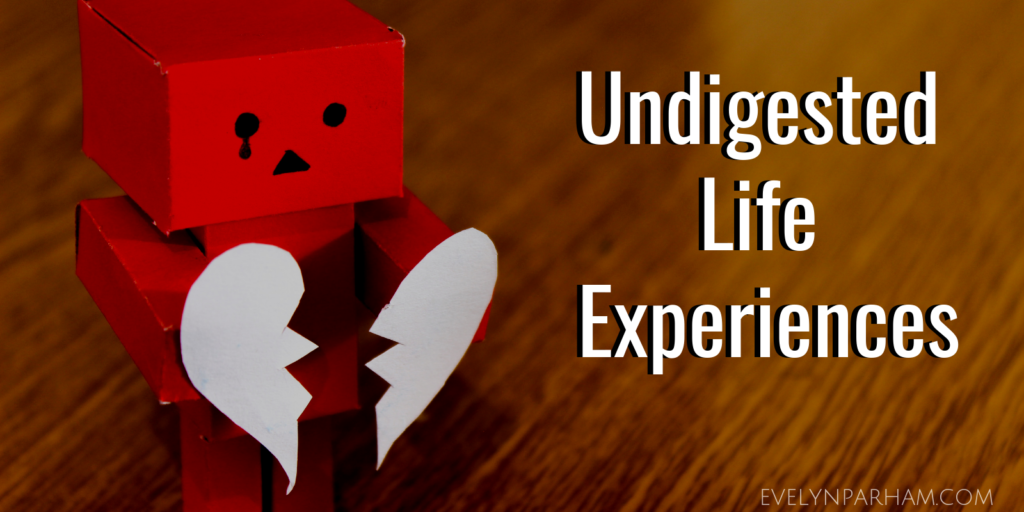 Undigested Life Experiences - Blog Post